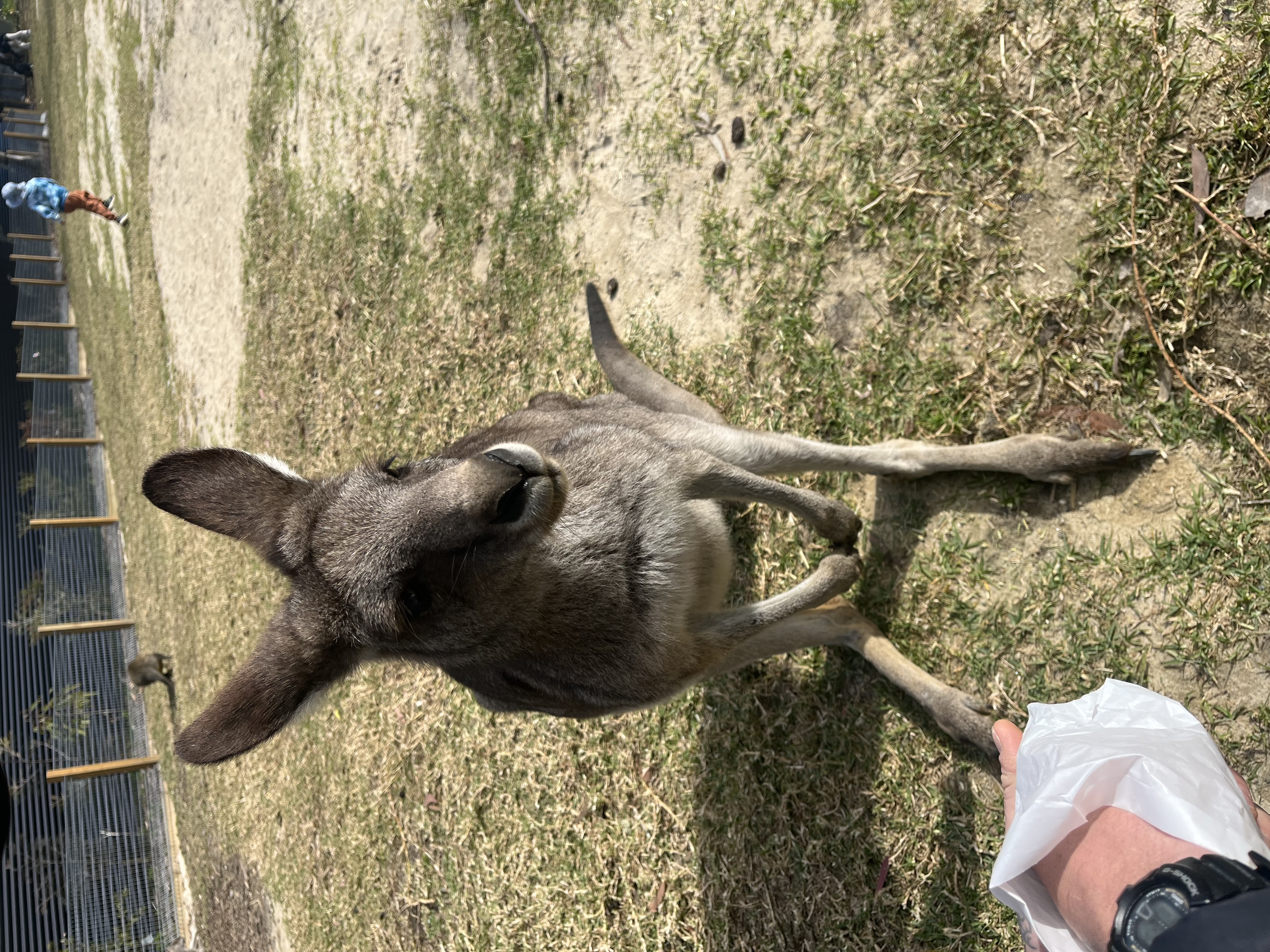 Symbio Wildlife Park