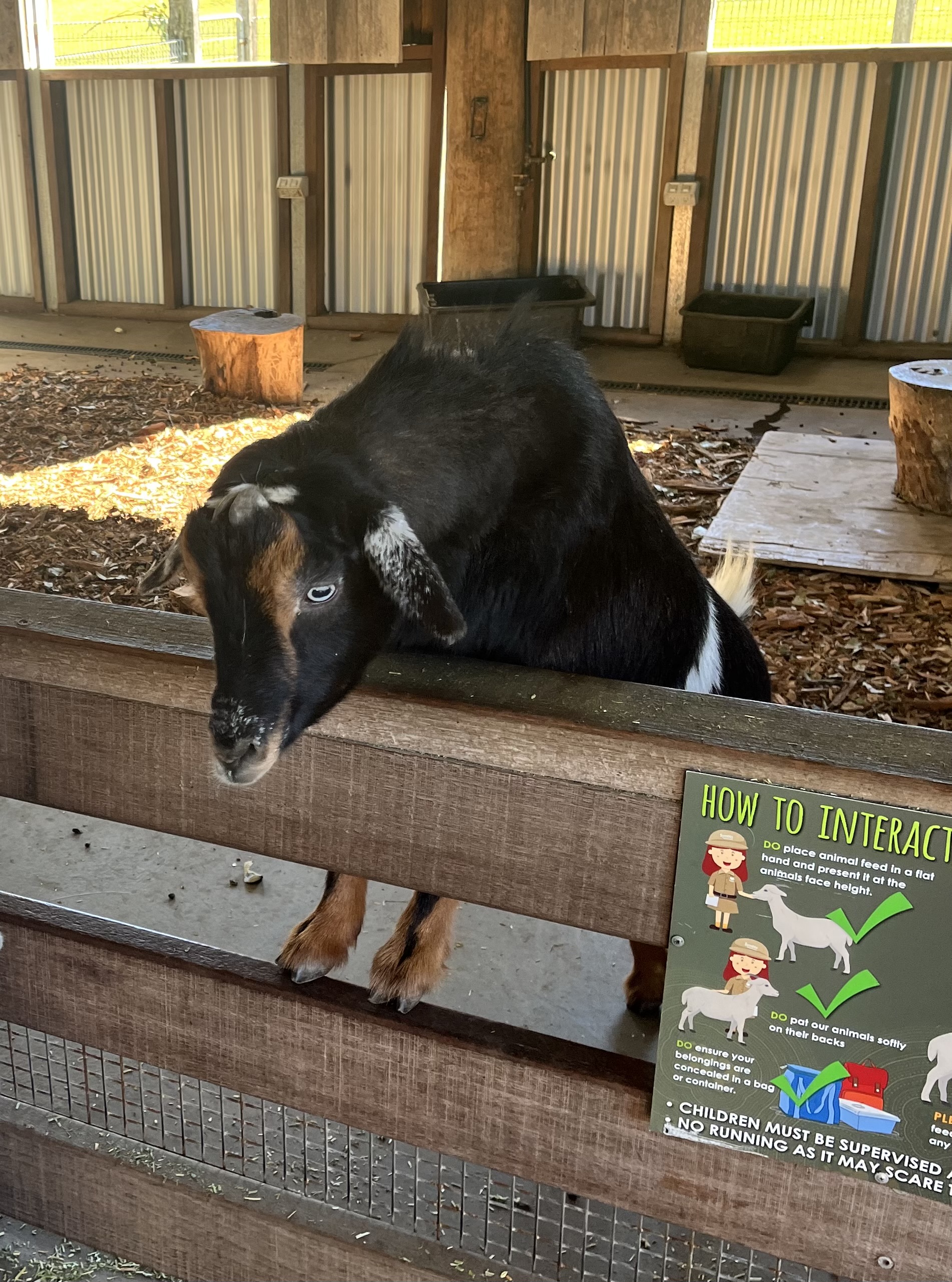 Symbio Wildlife Park
