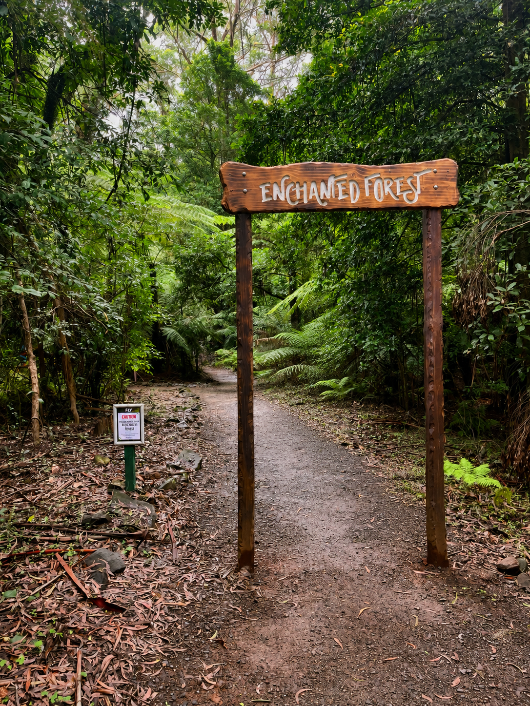 Illawarra Fly Treetop Adventures